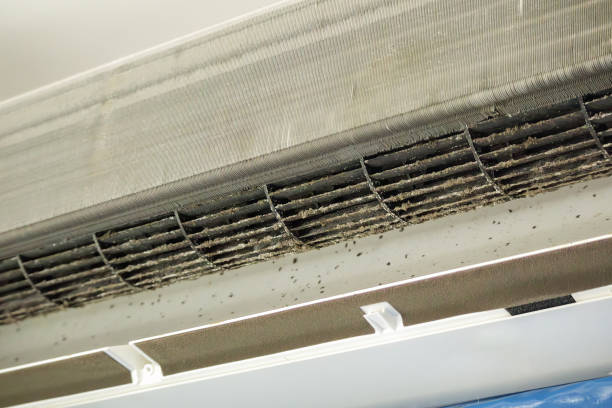 Best Affordable HVAC Duct Cleaning  in Union Mill, VA